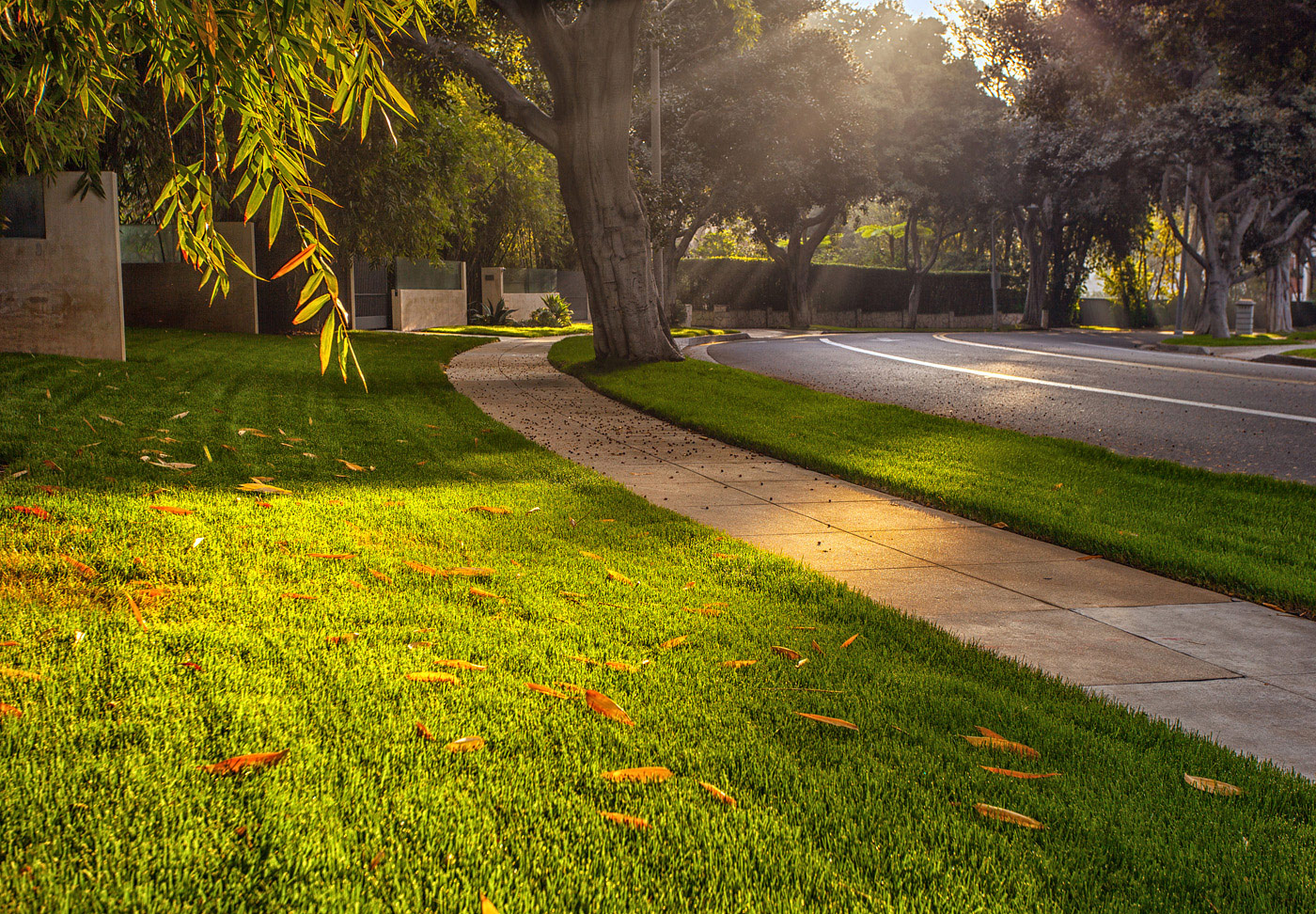 Beverly Hills