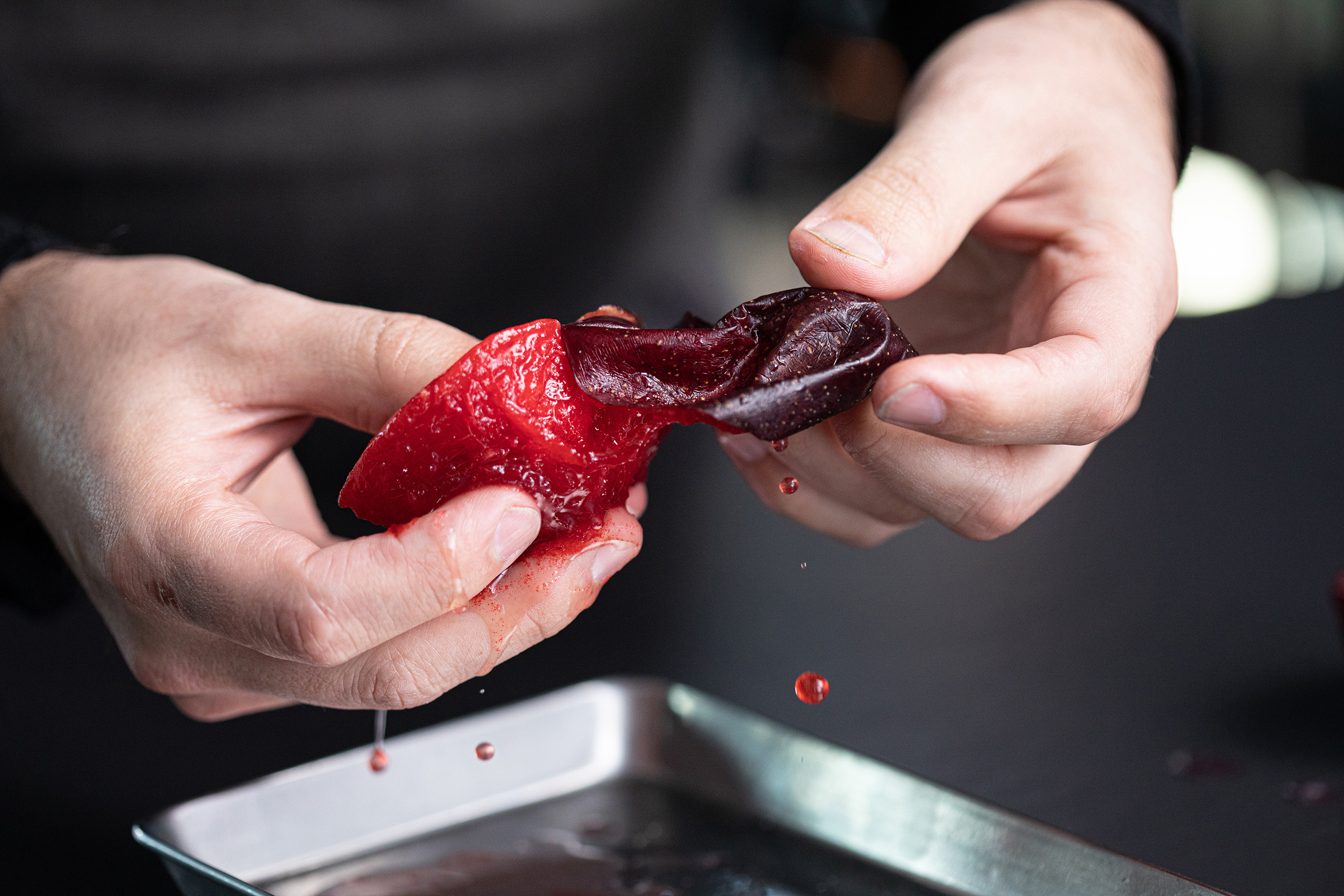 FoodLograstudio002
