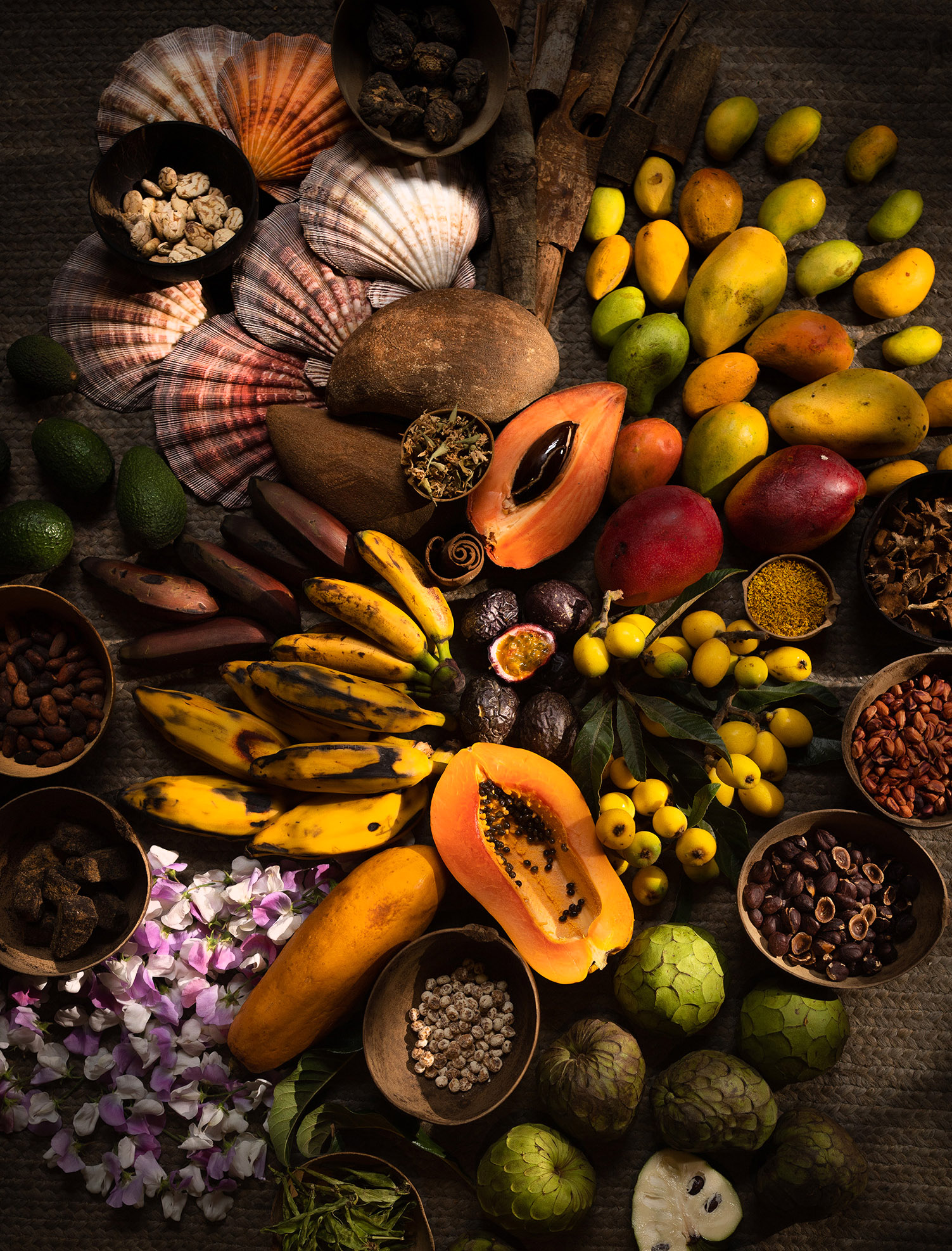 FoodLograstudio011