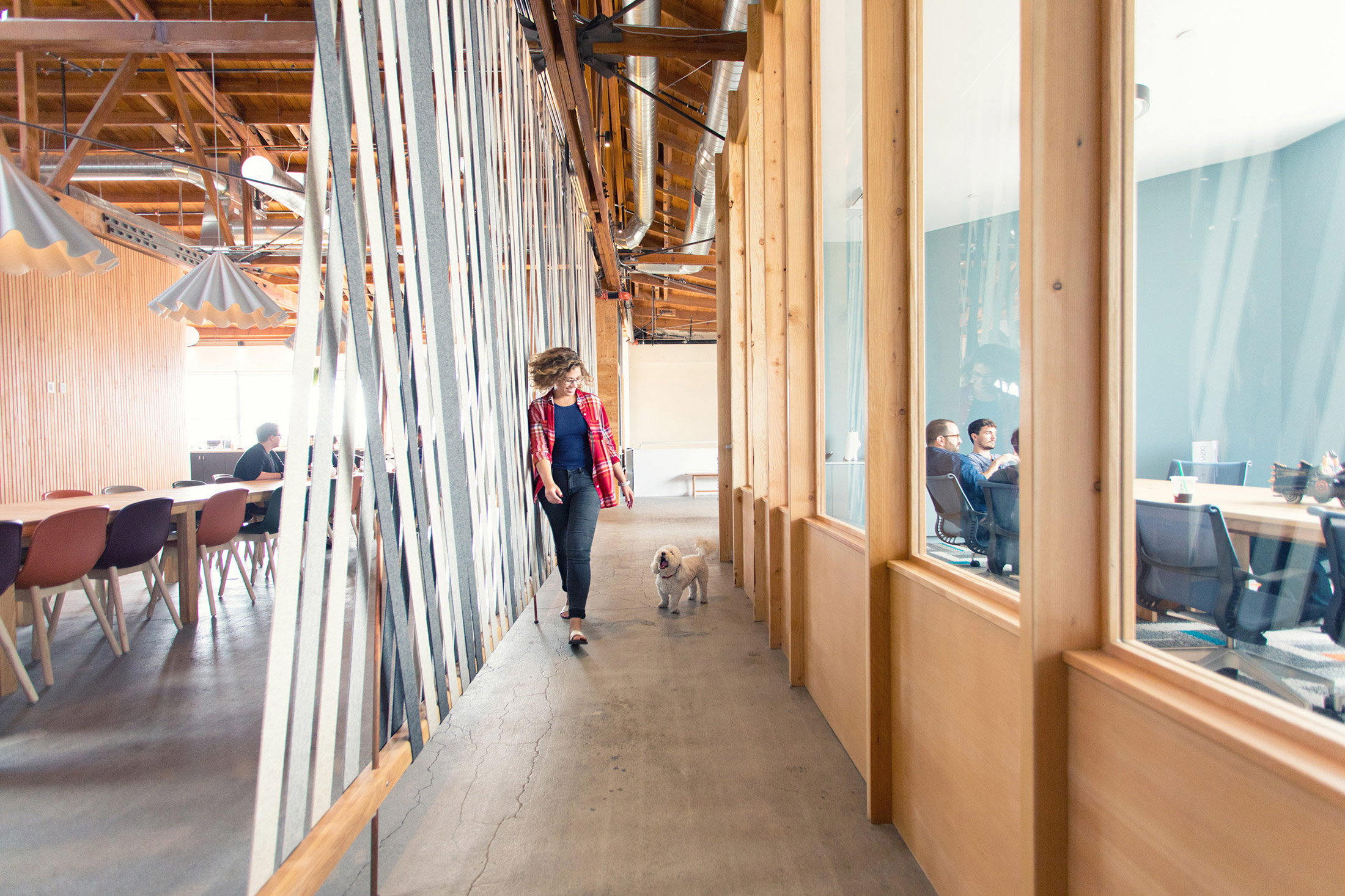 Ingenuity Studios